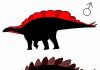 Sexing Stegosaurus “Stegosaurus plates may have differed between male, female”