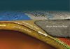 Tidal tugs on Teflon faults drive slow-slipping earthquakes
