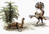 Fossils offer insight into dinosaur romance