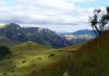 Ancient Microbe-Sediment Systems of the Barberton Greenstone Belt, South Africa