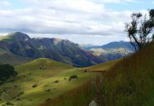 Ancient Microbe-Sediment Systems of the Barberton Greenstone Belt, South Africa