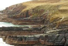 Ancient lake challenges understanding of evolution