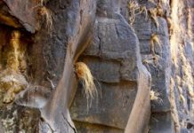 Chicxulub and the deccan eruptions: Just a coincidence?