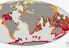Fossils help identify marine life at high risk of extinction today