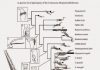 Go fish! Ancient birds evolved specialist diving adaptations