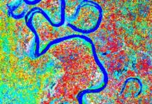 Location matters in the lowland Amazon