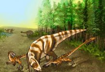 New Dinosaur’s Keen Nose Made it a Formidable Predator