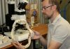 Pre-historic sharks feast on marine reptiles