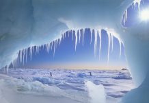 Reconstruction of Arctic climate conditions in the Cretaceous period