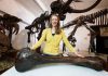 Rewriting the history of the Boaz mastodon