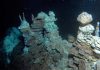Surprise from the deep ocean