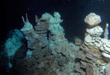 Surprise from the deep ocean