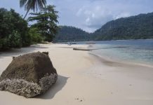 Tropical marine ecosystems most at threat from human impact