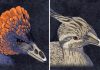 Tweaking the beak: Retracing the bird’s beak to its dinosaur origins, in the laboratory