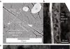 Geologist collaborates on study to determine mechanism associated with fault weakening
