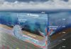 A ‘hydrothermal siphon’ drives water circulation through the seafloor