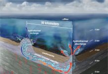 A ‘hydrothermal siphon’ drives water circulation through the seafloor