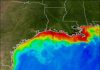 ‘Dead Zone’ for Gulf of Mexico was predicted