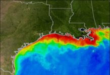 ‘Dead Zone’ for Gulf of Mexico was predicted