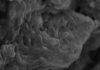 Dinosaur fossil investigation unlocks possible soft tissue treasure trove