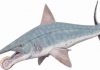 Five amazing extinct creatures that aren’t dinosaurs