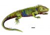 Gloucestershire fossil identified as new species of ancient reptile
