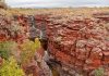 Iron: A biological element?