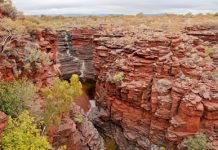 Iron: A biological element?