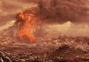 New evidence emerges on the origins of life