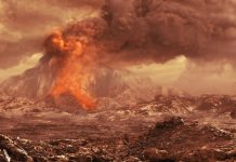 New evidence emerges on the origins of life