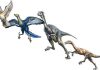Origins of feathered dinosaurs more complex than first thought