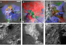 Quenched glasses, asteroid impacts, and ancient life on Mars