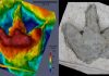 Researchers Reconstruct Dinosaur Tracks