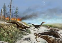 Why big dinosaurs steered clear of the tropics