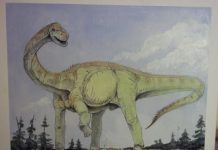 Yorkshire’s oldest new addition to the ‘Jurassic World’