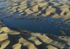 ‘Carbon sink’ detected underneath world’s deserts