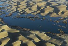 ‘Carbon sink’ detected underneath world’s deserts