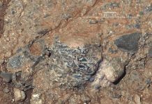 Curiosity rover finds evidence of Mars’ primitive continental crust