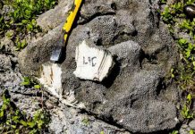 Earthquakes in western Solomon Islands have long history, study shows