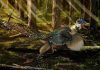 Feathered cousin of famous movie star dino unearthed in China