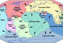 Fish teeth and tectonic plates tell a new story about world’s largest ocean current