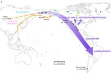 Genome analysis pins down arrival and spread of first Americans