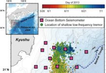 Migrating low-frequency tremors observed at shallow subduction interface