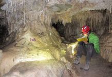 Research suggests western US deserts were relatively wet up until 8,200 years ago
