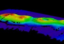 Submerged volcano cluster discovered off coast of Sydney