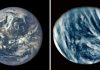 Why we live on Earth and not Venus