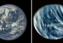 Why we live on Earth and not Venus