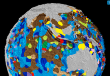 Big data maps world’s ocean floor