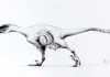 Big dinosaur discoveries in tiny toothy packages