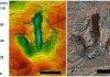Carnivorous dinosaurs strolled along beach